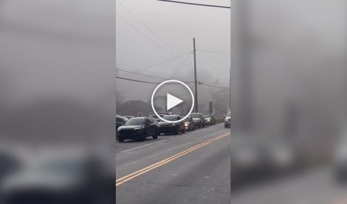 Обнаружена пробка на дороге с самым неожиданным ее началом