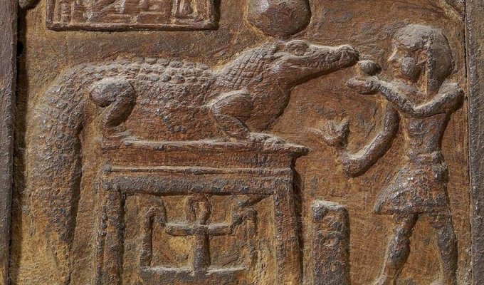How crocodiles became hiding places and helped study Ancient Egypt (7 photos)
