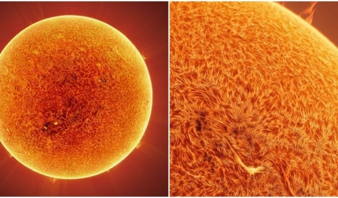 An astrophotographer took the most detailed photo of the Sun (6 photos)