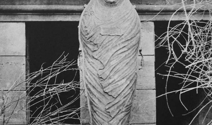 Что такое «гроб Фиска» (7 фото)