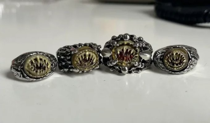 Кольца из кальмара (5 фото)