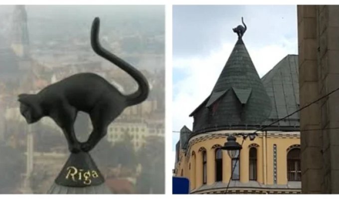 Кошачий дом Риги: легенда о мести и гордости (11 фото)