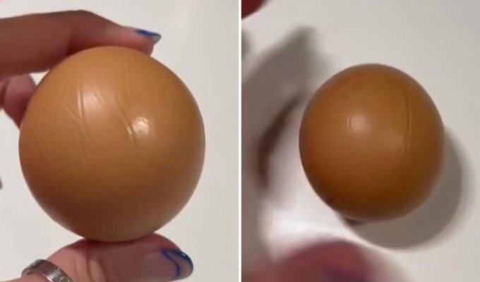 The customer found a perfectly round egg in the box (3 photos + 1 video)