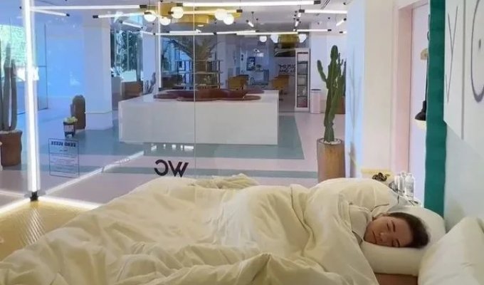 An introvert's nightmare: newlyweds slept in a hotel with glass walls (2 photos + 1 video)