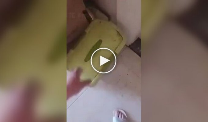 Воришка резинок попался с поличным