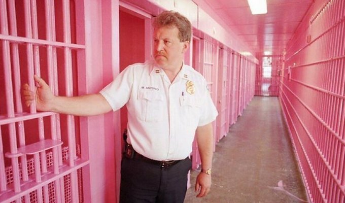 Why are cells painted pink in European prisons? (4 photos)