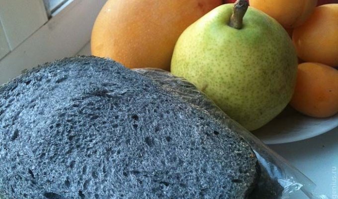 Суровый владивостокский хлеб (4 фотографии)