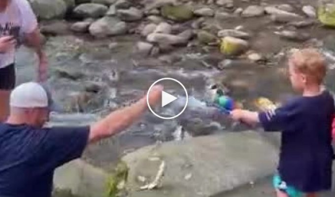 Беспардонный енот украл рыбу у маленького рыболова