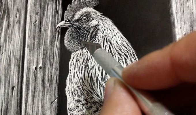Гиперреалистичные портреты животных в технике скретчборд: это потрясающе! (22 фото)