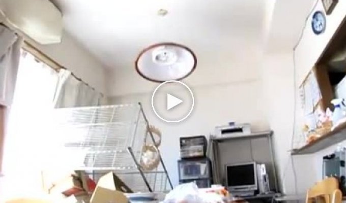 Землетрясение в квартире. Япония