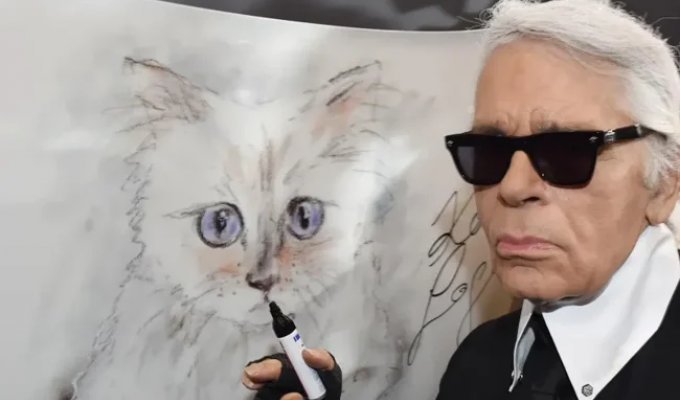 Fashion designer Lagerfeld's cat still hasn't received her million-dollar inheritance (4 photos)