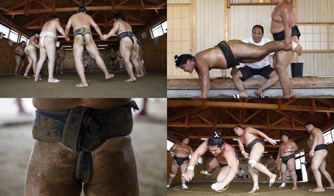 Тренировка борцов сумо в Фукусиме (24 фото)