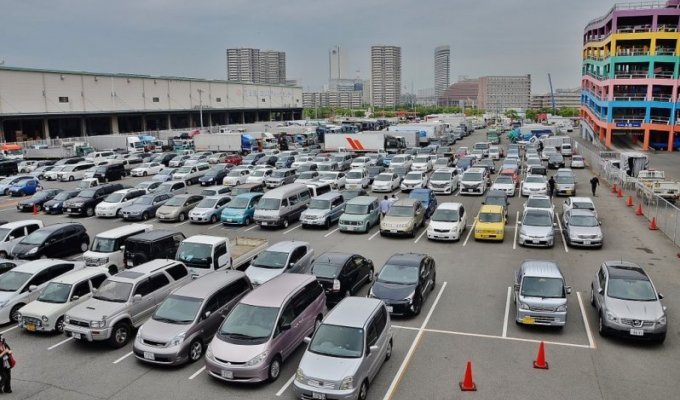 Как грамотно купить автомобиль из Японии (49 фото)