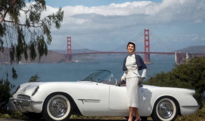 Interesting and sometimes amusing automotive-themed shots (21 photos)