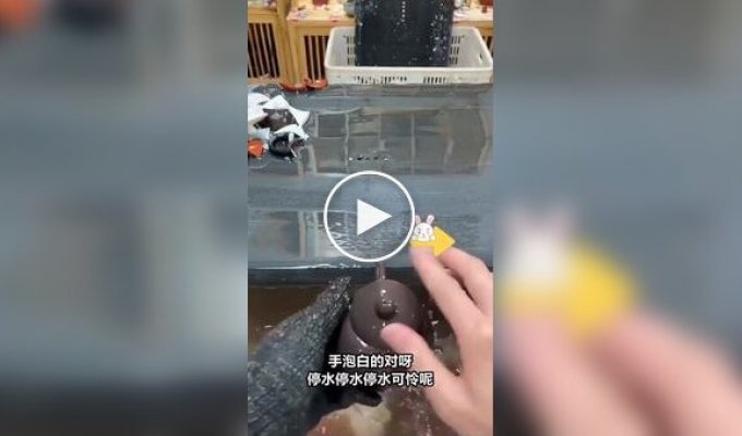 How Chinese Teapots are Checked