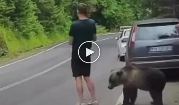 In Romania, a tourist was so engrossed in his phone he didn't notice a bear