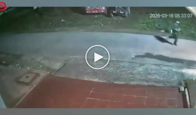 Пробежка обернулась паникой: мужчине пришлось спасаться бегством