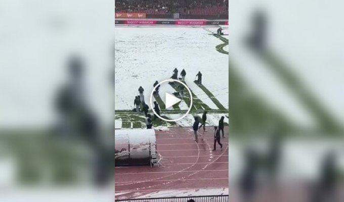 В Швейцарии снегопад чуть не сорвал матч. На помощь пришли футбольные болельщики