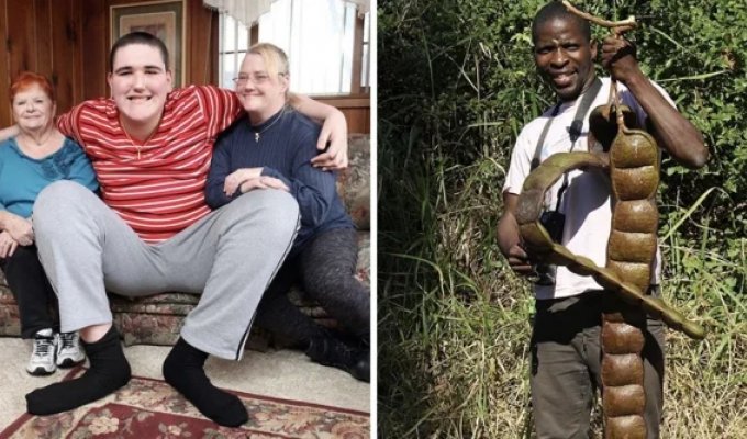 Реальные предметы и живых существ, впечатляющих своими огромными размерами (17 фото)