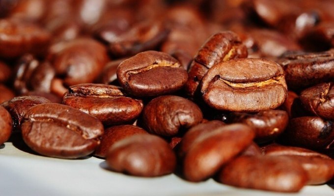 Как кофе влияет на наше тело? (4 фото)