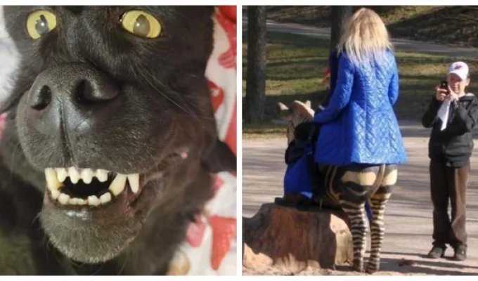 18  снимков, демонстрирующих, что  реальность представляет собой только одну из  точек зрения (19 фото)