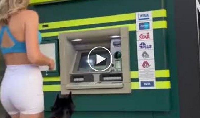 Пес охраняет девушку у банкомата