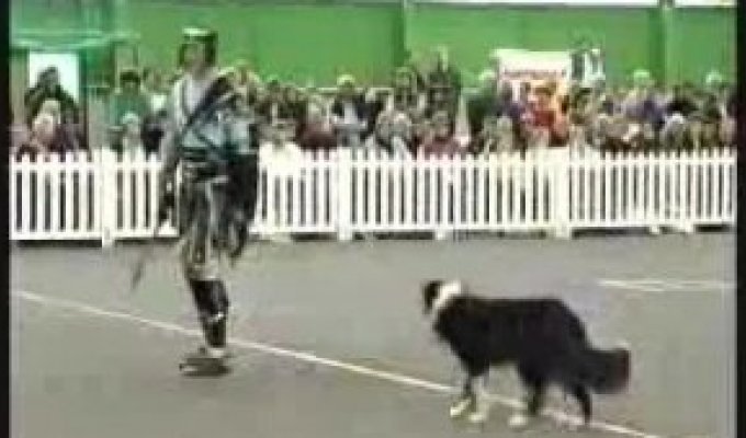 Гладиатор и его собака. Классное выступление