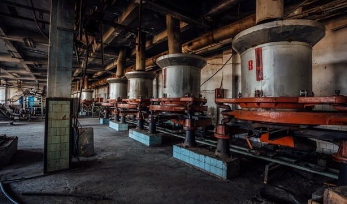 Заброшенная чайная фабрика. Где делался грузинский чай 2 и 3 сорта (39 фото)