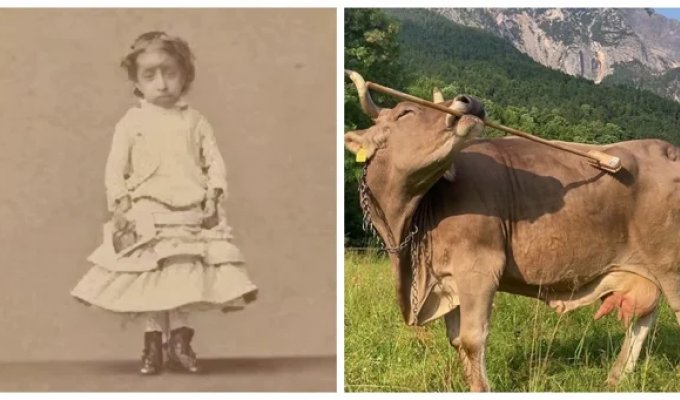 10 Mind-Bending Facts That Shatter Common Stereotypes (11 Photos)
