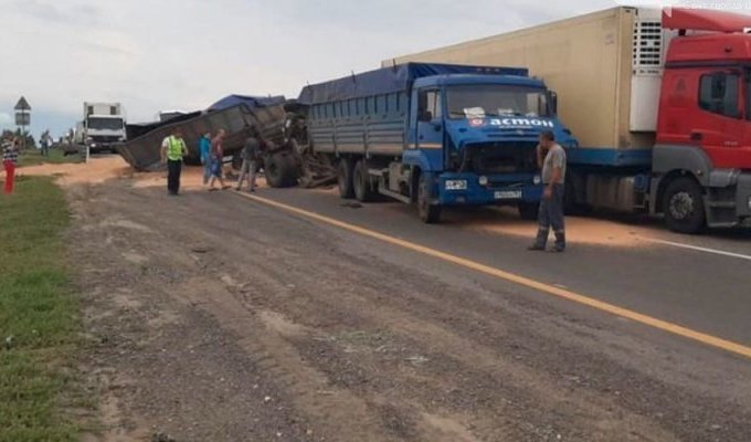 В Ростовской области в ДТП перевернулся зерновоз (1 фото + 4 видео)