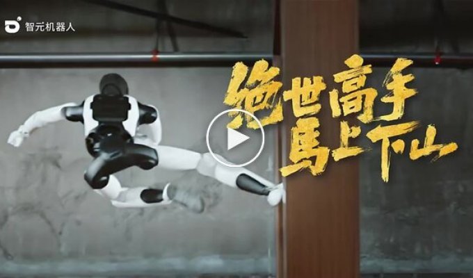 Робот мастер кунг-фу