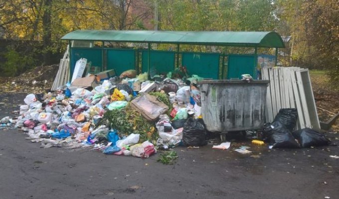Подмосковное Пушкино утопает в мусоре (15 фото)