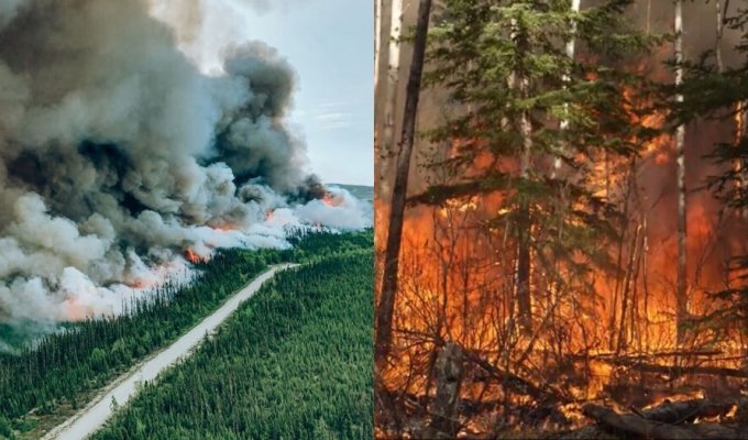 В Канаде целые деревни экстренно эвакуируют из-за серьезных пожаров (3 фото + 1 видео)