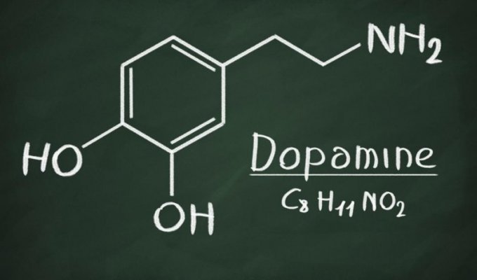 Дофамин и дофаминовый сбой (5 фото)