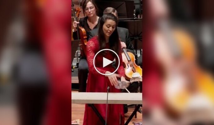 Концерт для бутылок с оркестром