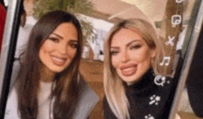 Cool gifs. Issue 2759 (100 GIFs)