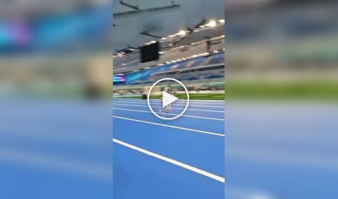 Робот побил рекорд Усэйна Болта, но есть нюанс