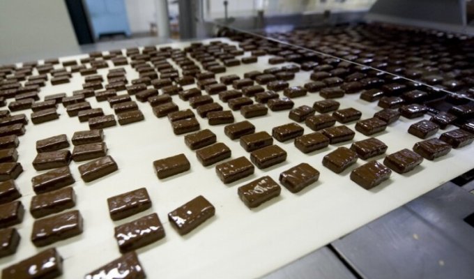 Как делают шоколадные конфеты (34 фото)