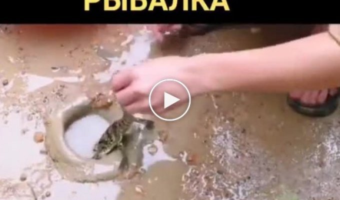 Необычная рыбалка с помощью крокодила