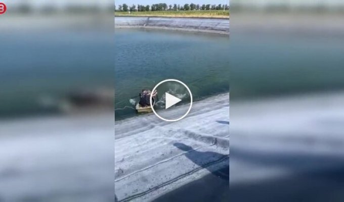 Wild boar attacks men ...in a boat during a ride on the water
