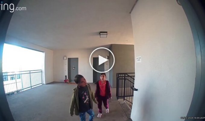 Прийшли до сусідського собаки — і підняли тривогу