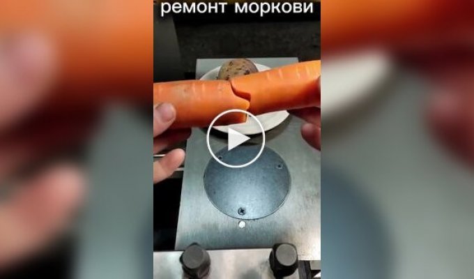 Ремонт моркови