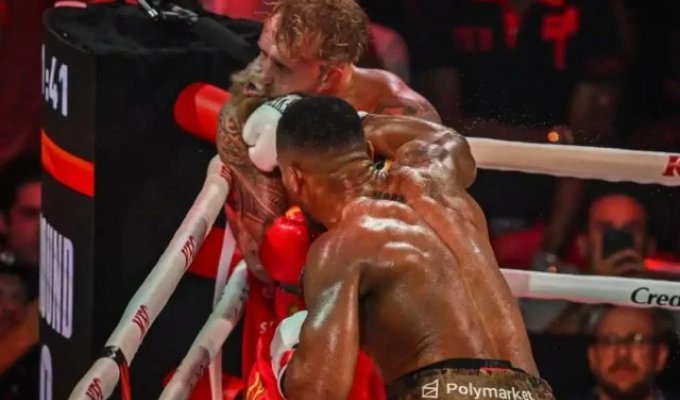Энтони Джошуа нокаутировал блогера Джейка Пола и сломал ему челюсть в двух местах (2 фото + видео)