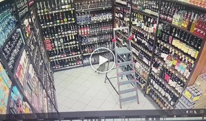Кот устроил погром в алкомаркете