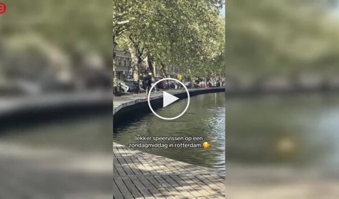 Spearfishing in the center of Amsterdam: a fisherman with a harpoon surprised Passersby