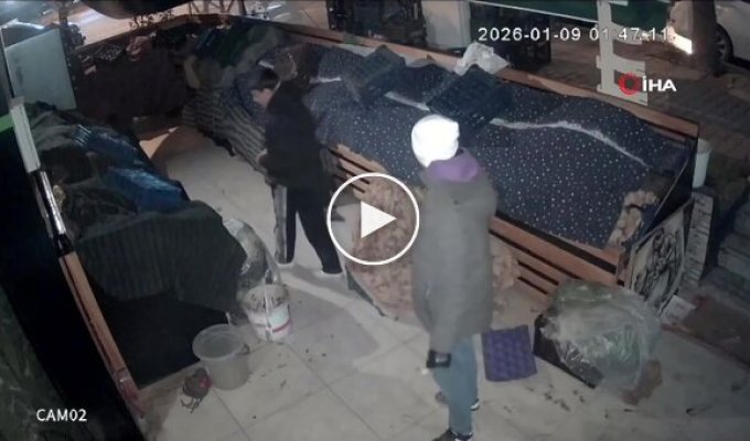 Ночные любители лука