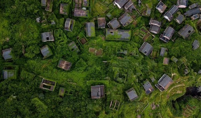 No One Lives Anymore: Ivy and Grass Have Completely "Occupied" a Once-Crowded Village (3 photos)