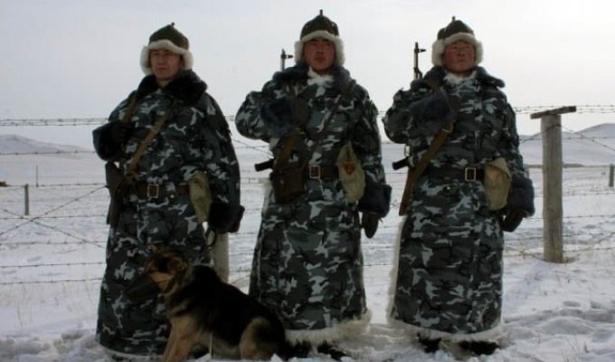Форменный головной убор "Будёновка" военнослужащих пограничных войск Монголии (14 фото)