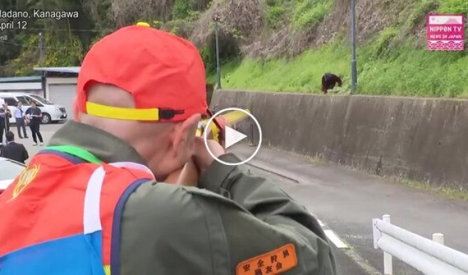 In Japan, drills were held in case bears approach populated areas
