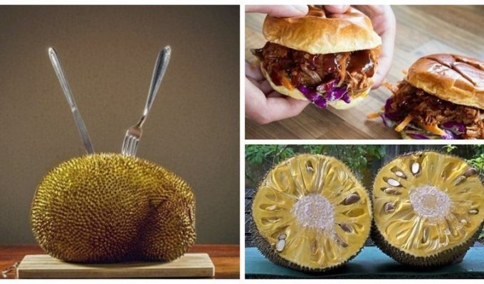 Что такое джекфрут и с чем его едят в Великобритании (8 фото)